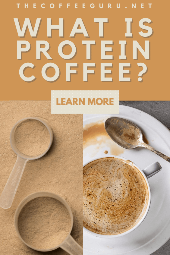 Protein Powder in Coffee? Is That A Thing? The Coffee Guru