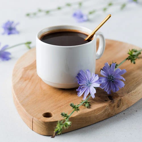 Chicory Coffee The Ultimate Guide All You Need To Know The Coffee Guru